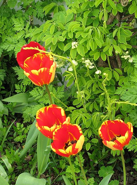201304 003