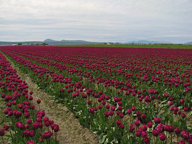 201304 066