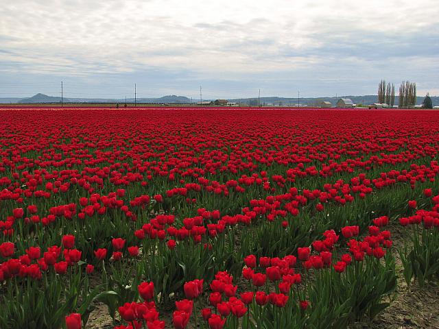 201304 068