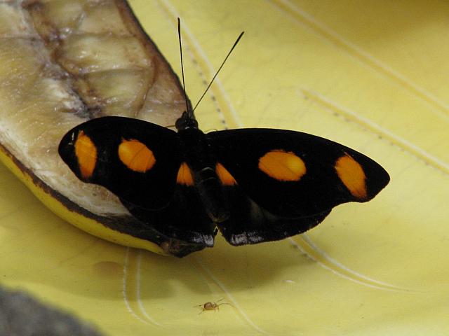 201306 021