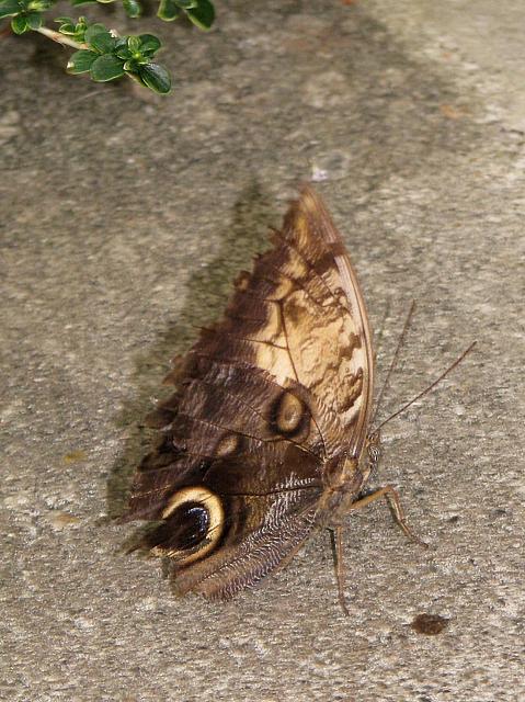 201306 027