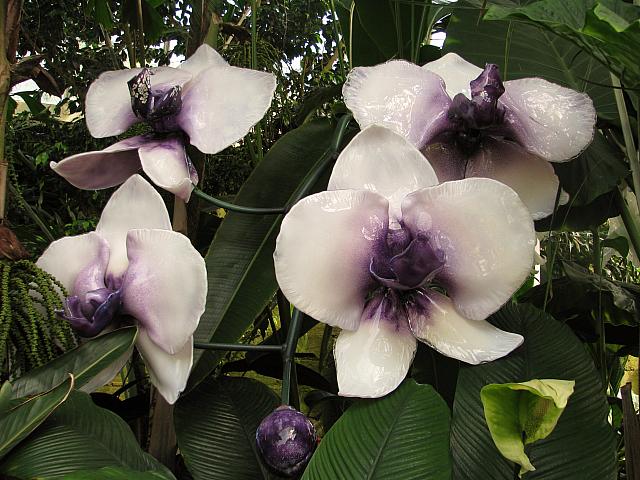 20130601 011