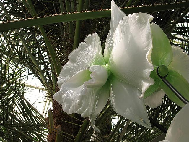 20130601 029