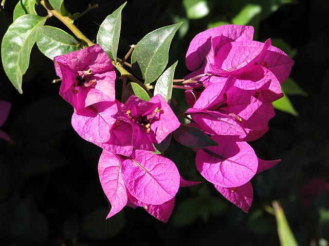 201308SAN 014