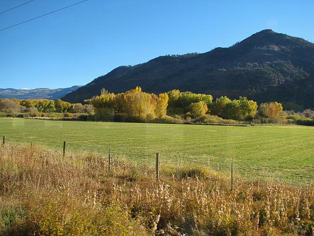 201310SW 505