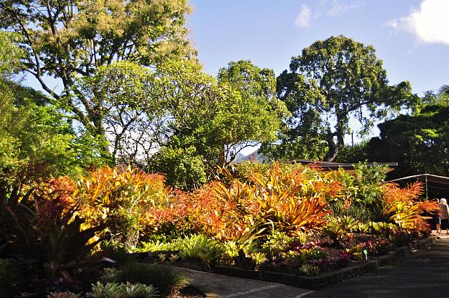 201312 Hawaii Edo 053