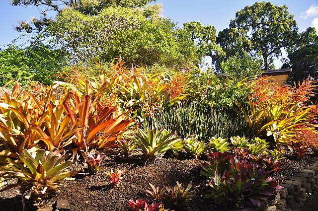 201312 Hawaii Edo 054