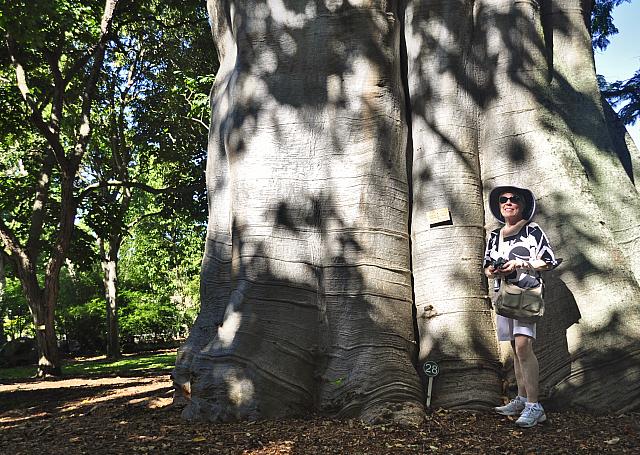 201312 Hawaii Edo 061