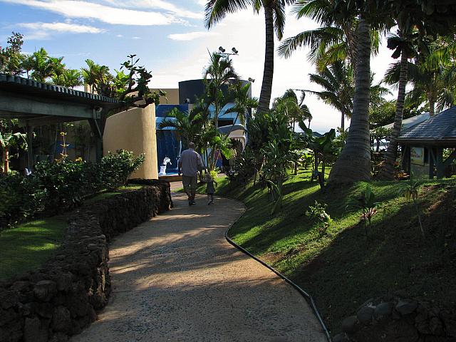 201312HawaiiA 305