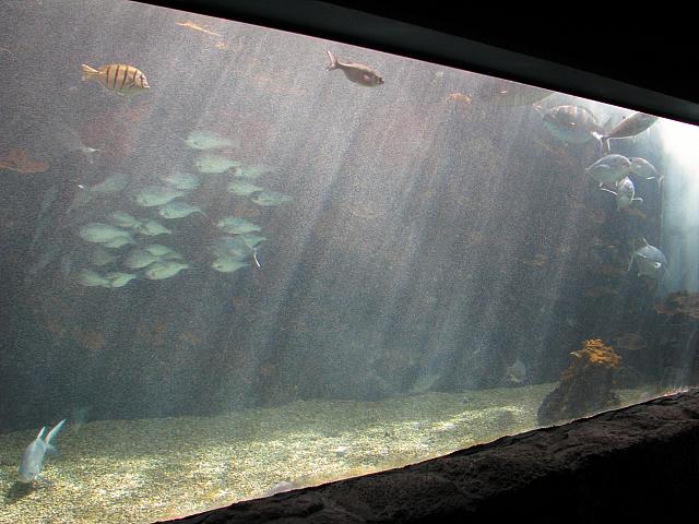 201312HawaiiA 348
