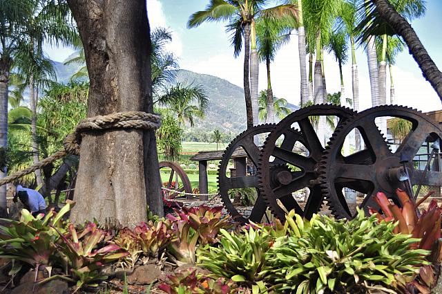 201312 Hawaii Edo 100