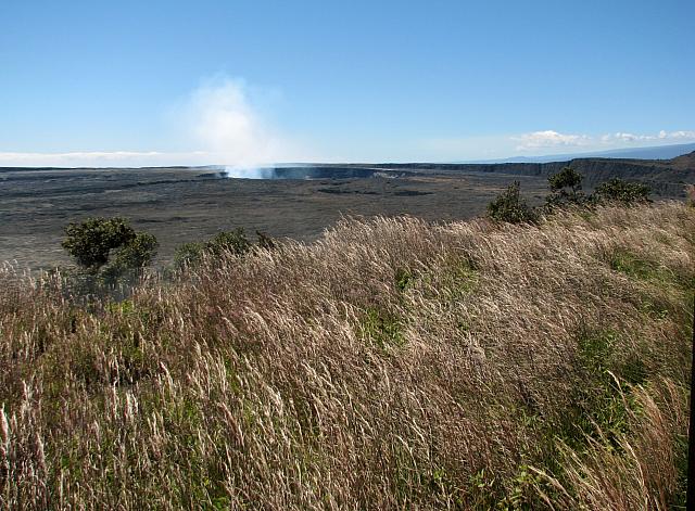 201312HawaiiA 468