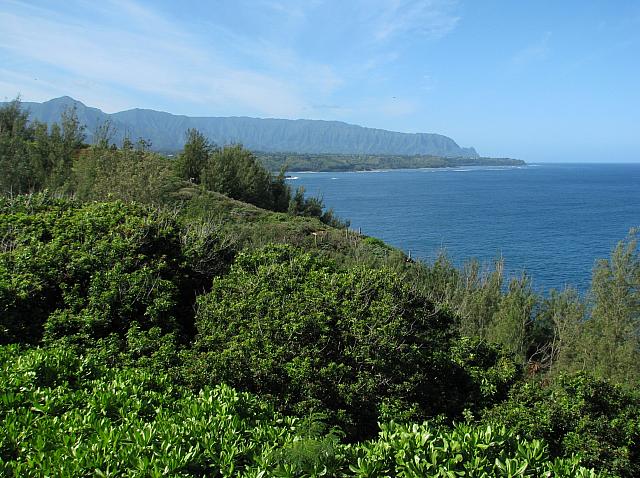 201312HawaiiA 607