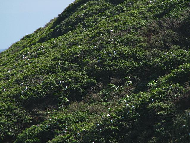 201312HawaiiA 610