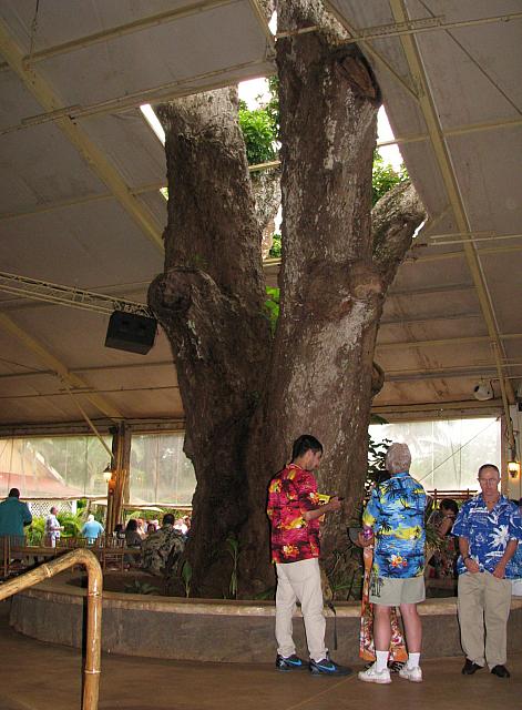 201312HawaiiA 655