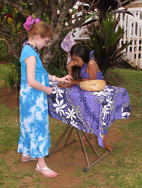 201312HawaiiA 660