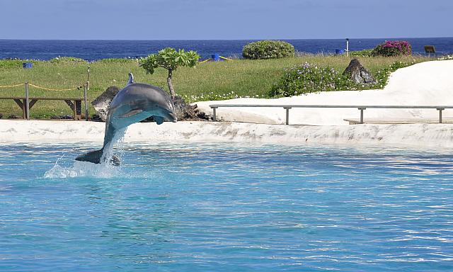 201312 Hawaii C 053