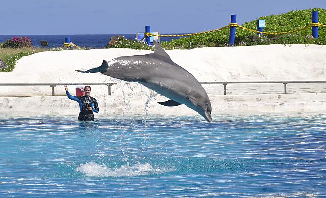 201312 Hawaii C 054