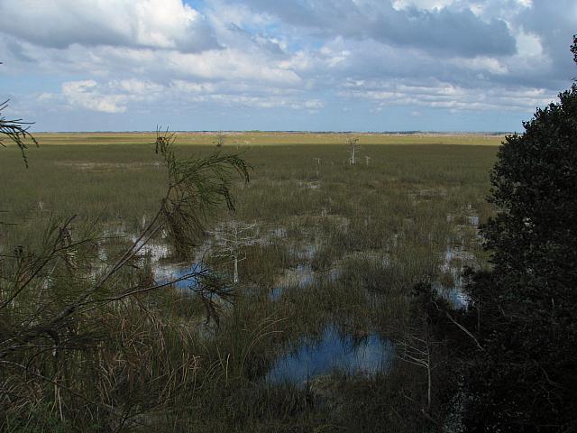 201402Carib 359