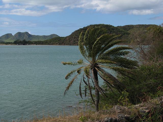 201402Carib 1036