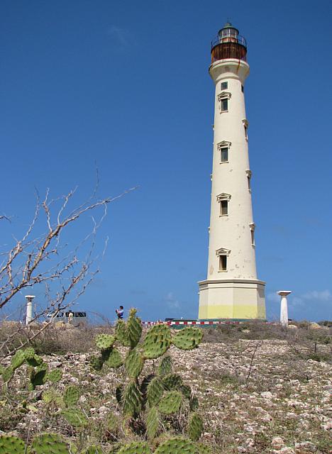201402Carib 501