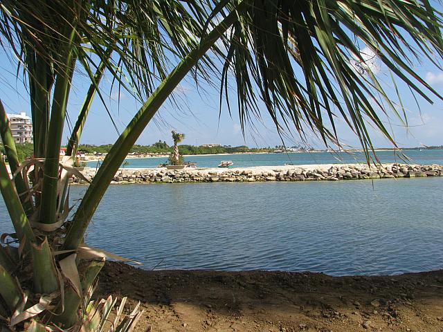 201402Carib 524