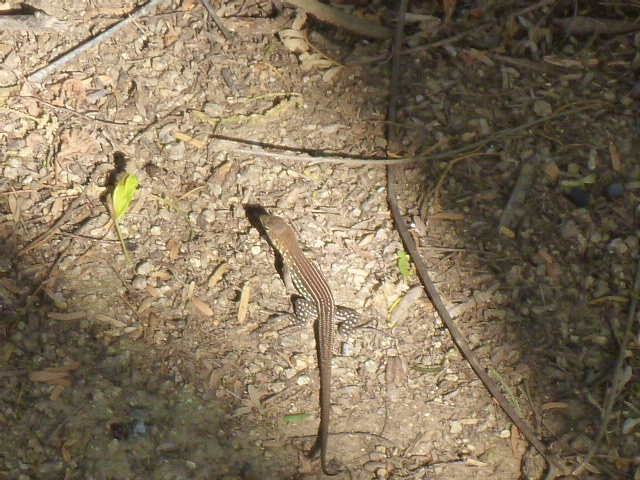 201402CaribK 241