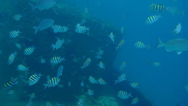 201402CaribK 345