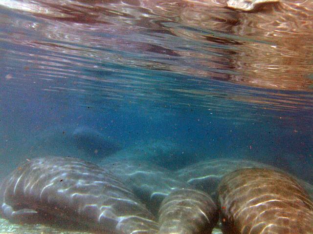 PICT0272 (1)