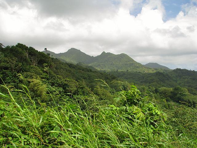 201402Carib 732