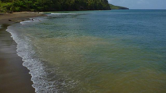 201402CaribK 372