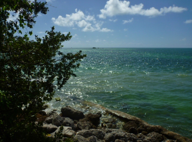 201402CaribK 153
