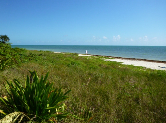 201402CaribK 162