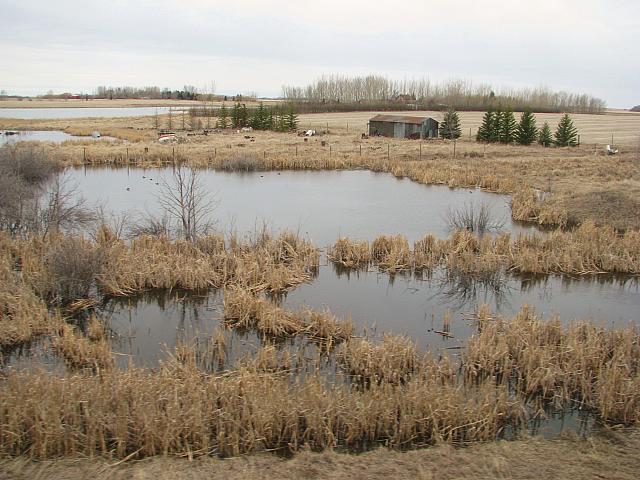 201404 Canada 409