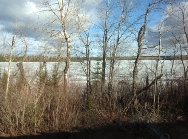 photo 3 (9) - Copy