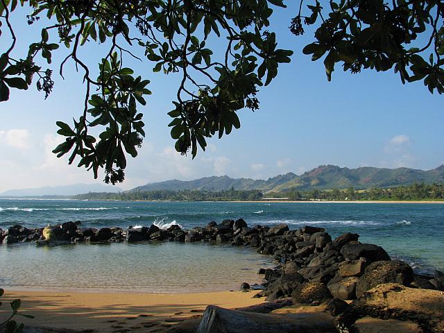 201501 Hawaii 013