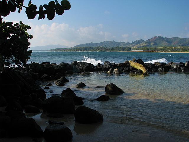 201501 Hawaii 014