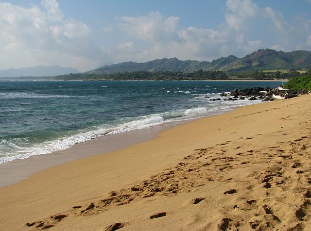 201501 Hawaii 022