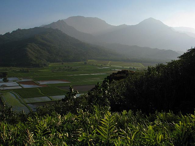 201501 Hawaii 106