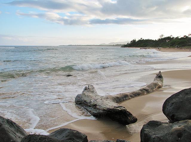 201501 Hawaii 152