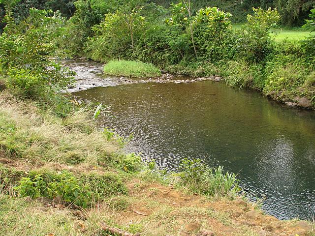 201501 Hawaii 166