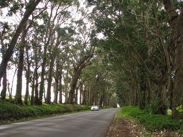 201501 Hawaii 211