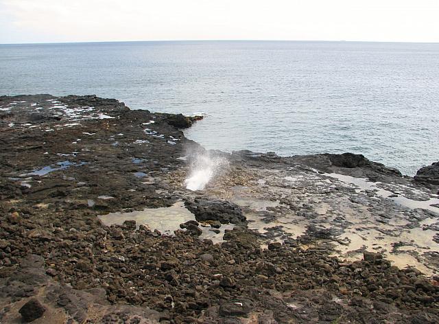 201501 Hawaii 236