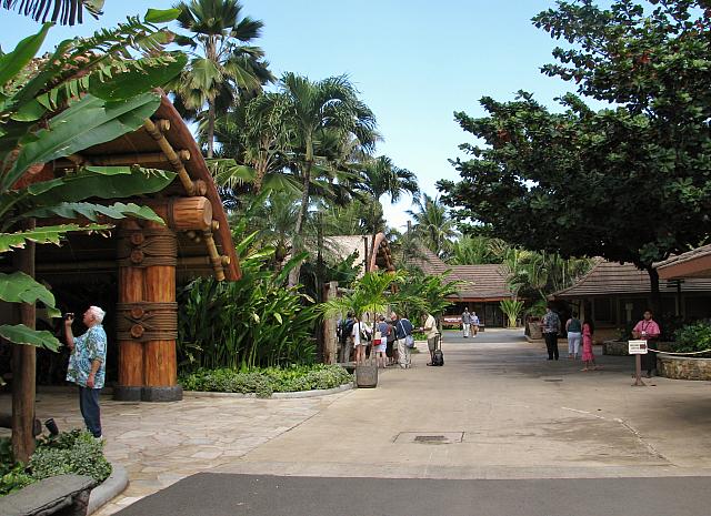 201501 Hawaii 398