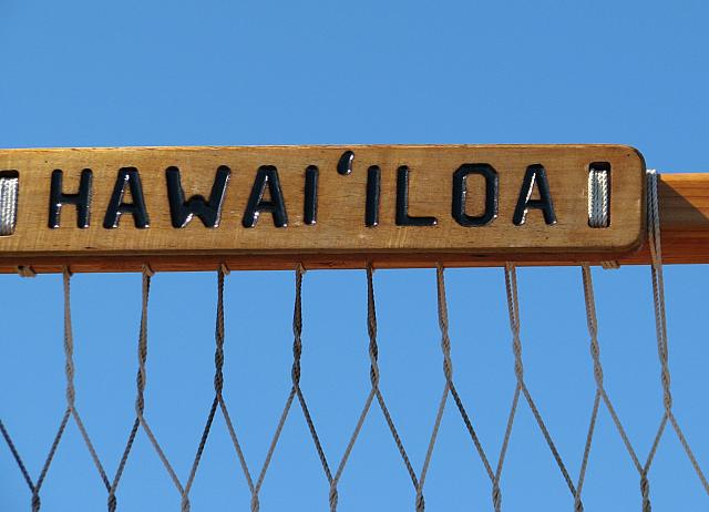 201501 Hawaii 549