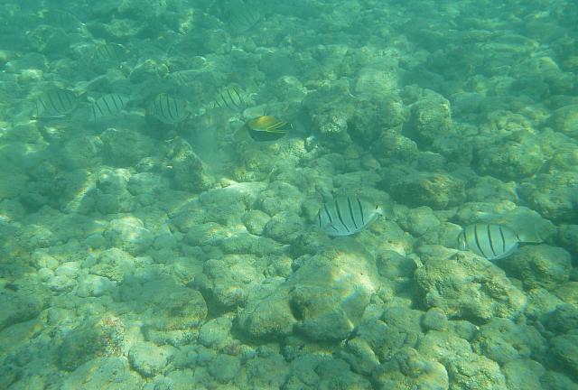 201501 Hawaii 762