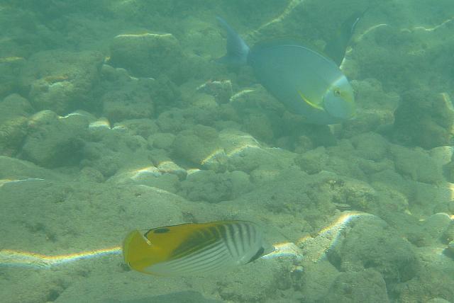 201501 Hawaii 812