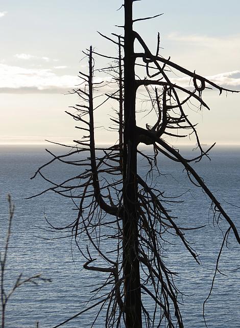 201509OlympicPeninsula 046