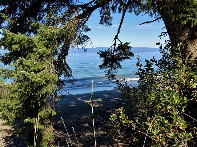201509OlympicPeninsula 055