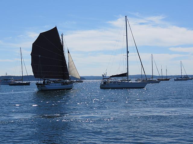 201509OlympicPeninsula 080